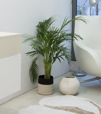 Lorena Canals Basket Dual - Black/Natural (8" x 8") - BSK-BLACK-NAT