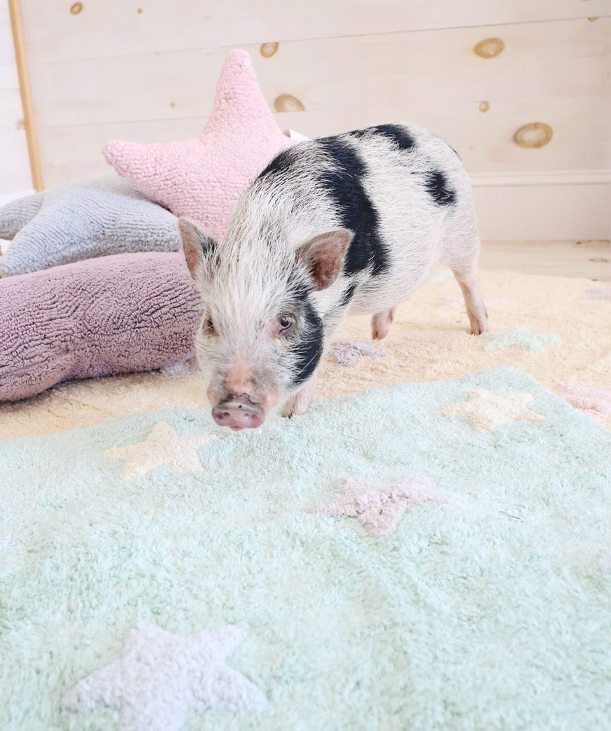 Lorena Canals Tricolor Stars Rug - Soft Mint (4' x 5' 3") - C-ST-SM