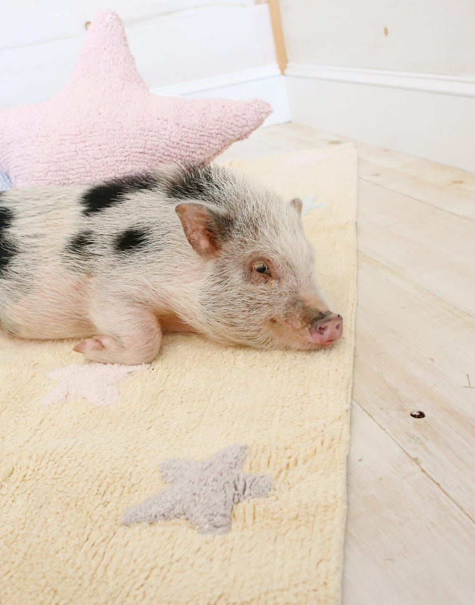 Lorena Canals Tricolor Stars Rug - Vanilla (4' x 5' 3") - C-ST-V