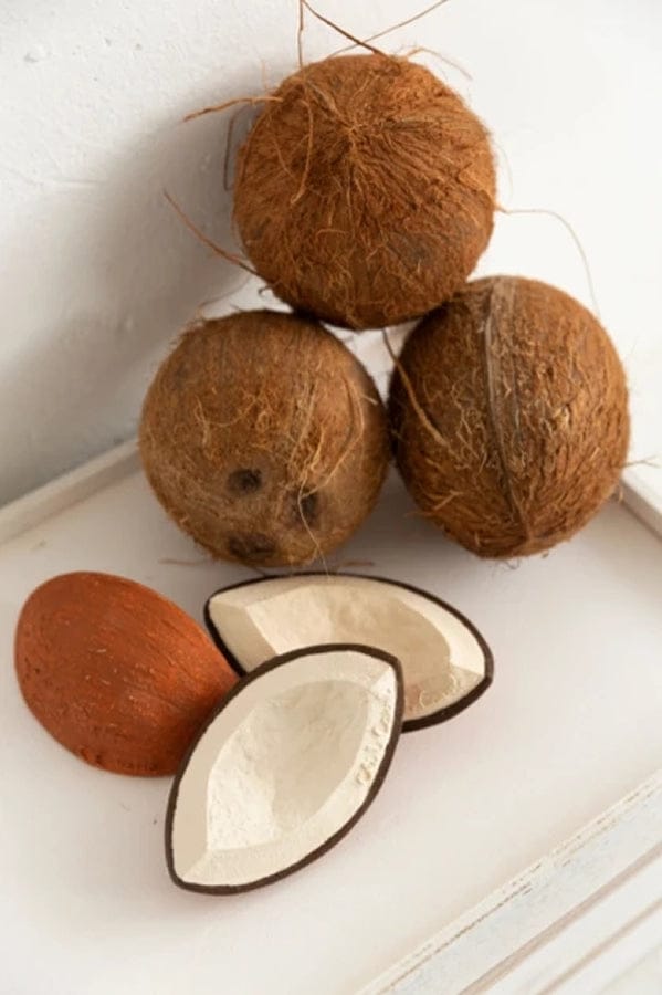 Oli & Carol Coco the Coconut - L-CHCOCO