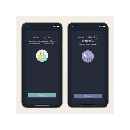 Owlet Dream Sock Plus Smart Baby Monitor - Mint - BMPL1NMMCJ