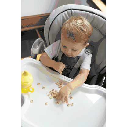 Peg Perego Prima Pappa Best High Chair in Paloma - IMPPBSNA55PL4