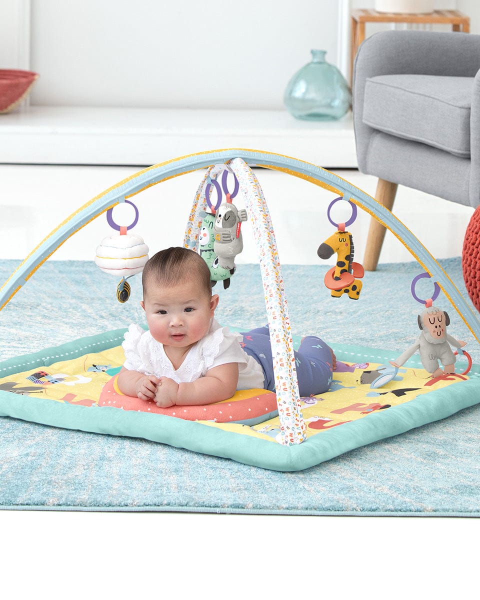 Skip Hop ABC & Me Activity Gym - 9I672910