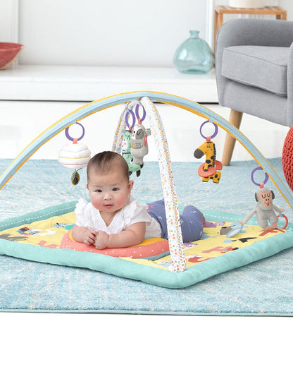 Skip Hop ABC & Me Activity Gym - 9I672910