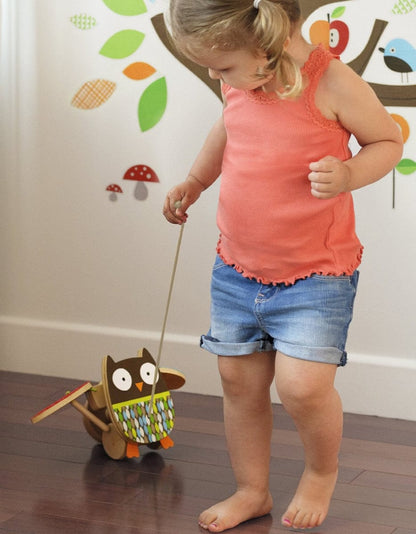 Skip Hop Treetop Owl Pull Toy - 184102