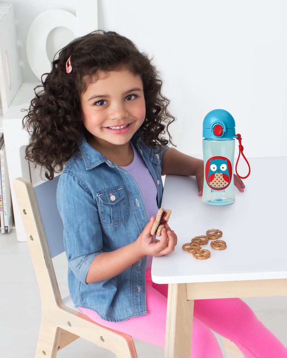 Skip Hop Zoo Lock-Top Sports Bottle - Owl