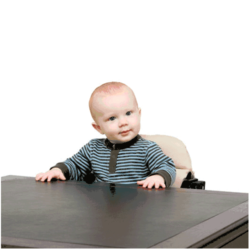 Anka by Svan High Chair in Espresso - A8005-2