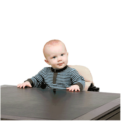 Anka by Svan High Chair in Espresso - A8005-2