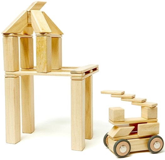Tegu 42 Piece Magnetic Blocks Set - Natural