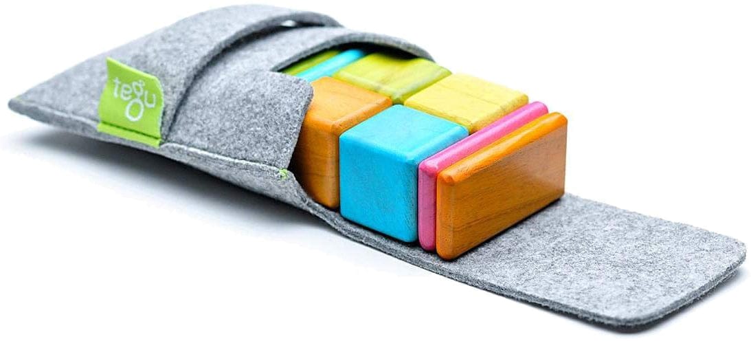 Tegu Pocket Pouch 8 Piece Magnetics Blocks - Tegu Tints
