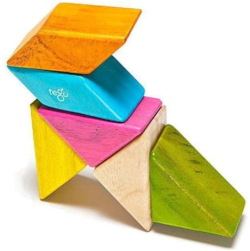 Tegu Pocket Pouch Prism 6 Piece Magnetic Blocks - Tegu Tints