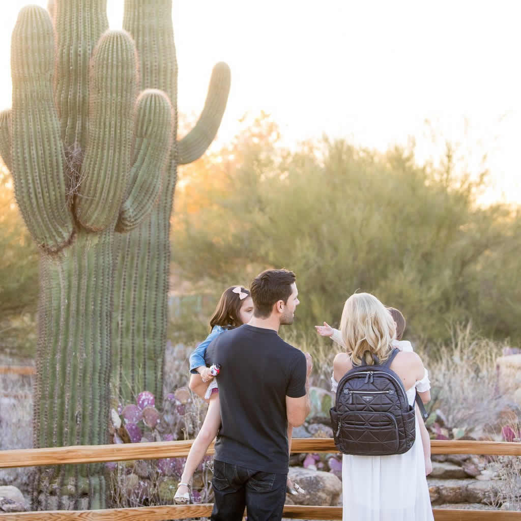 TWELVElittle Companion Backpack Diaper Bag  - Platinum