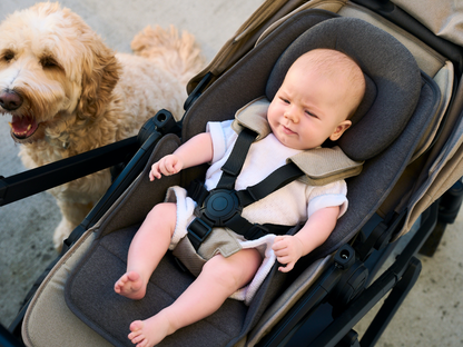 Veer Switchback Infant Soft Insert
