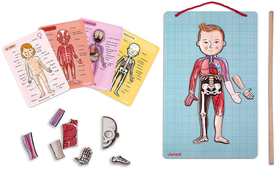 Janod Game - BodyMagnet in 12 Languages - J05491