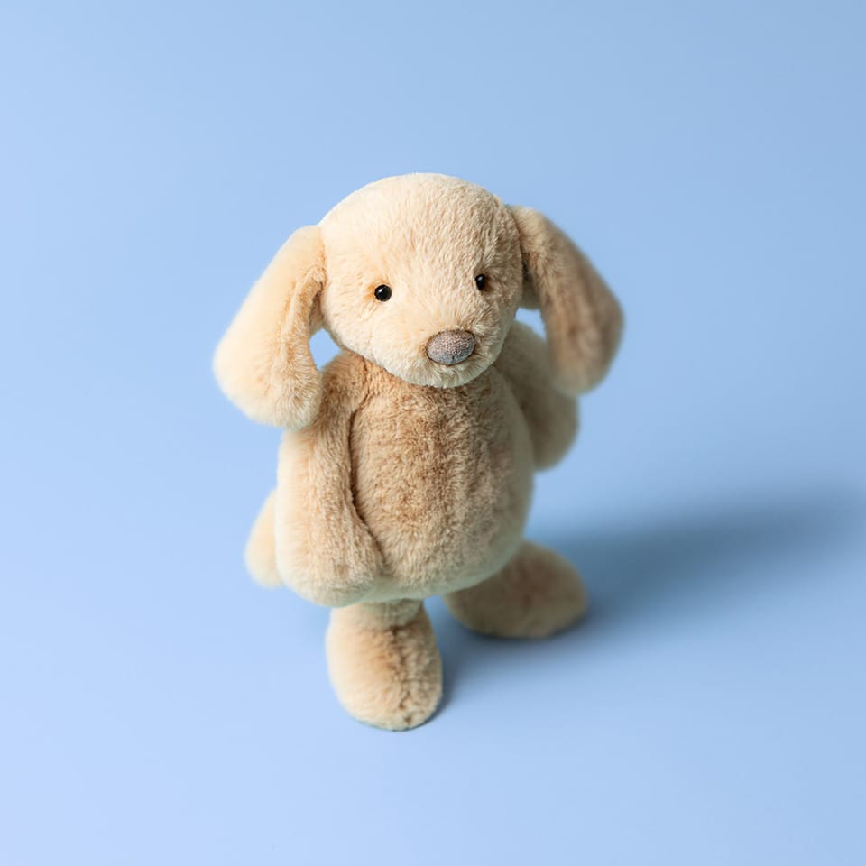 Beige Jellycat plush dog toy with floppy ears on a blue background
