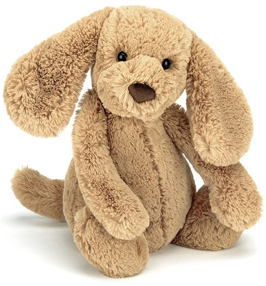 Jellycat Bashful Puppy in Toffee, 7" - BASS6TPUS