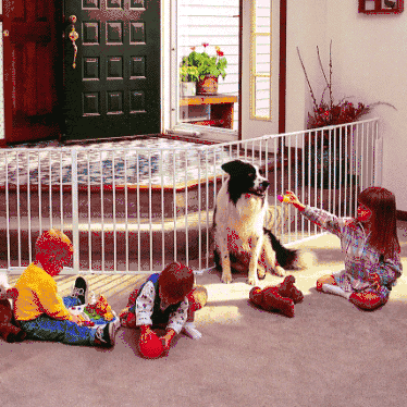 KidCo ConfigureGate Model G80 - G80