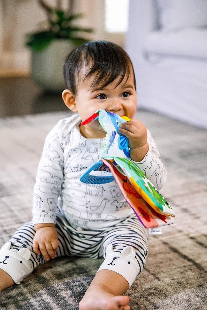 Kids2 Baby Einstein Curious Explorers Teether Book Take-Along Toy - 11794-000-000-06