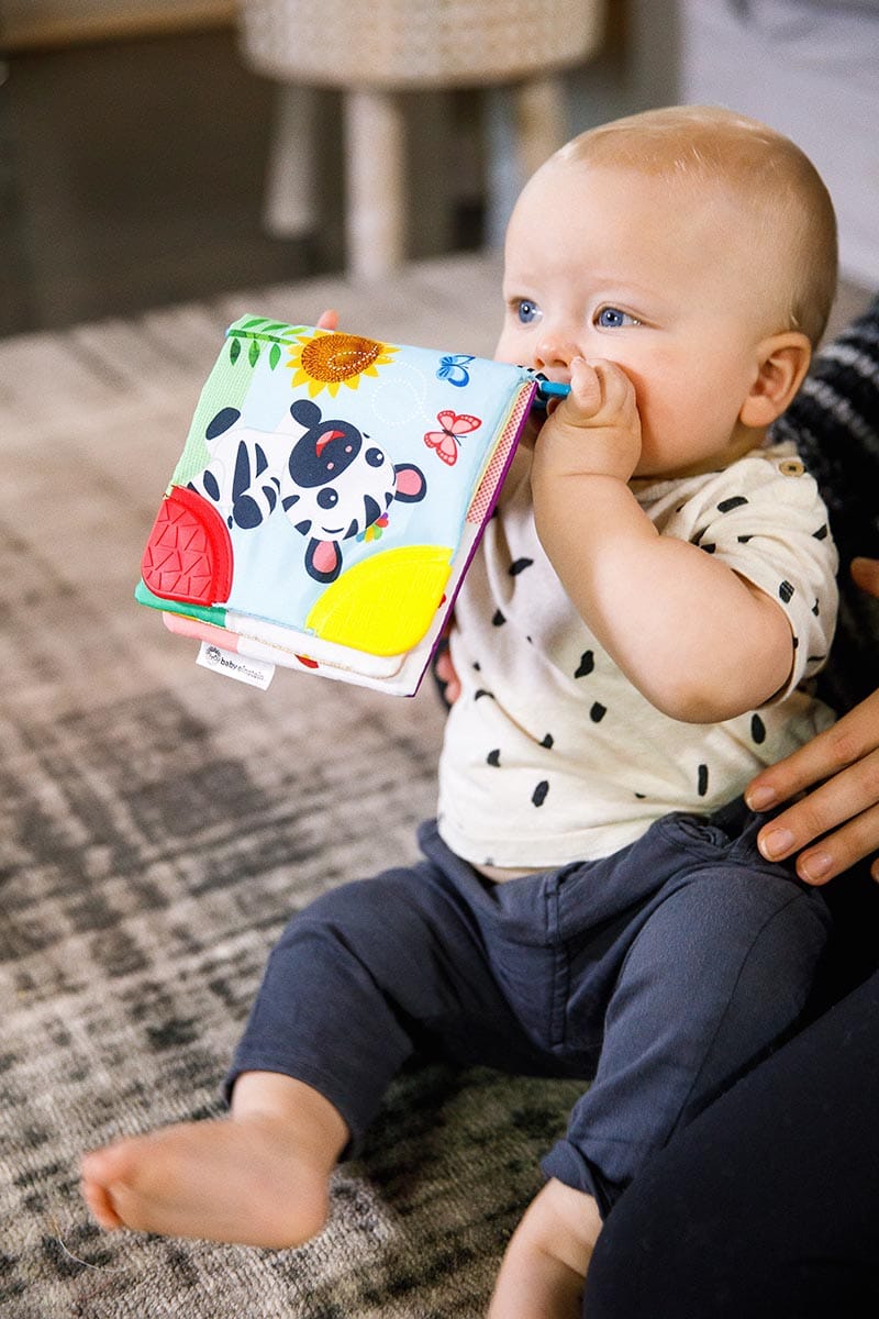 Kids2 Baby Einstein Curious Explorers Teether Book Take-Along Toy - 11794-000-000-06