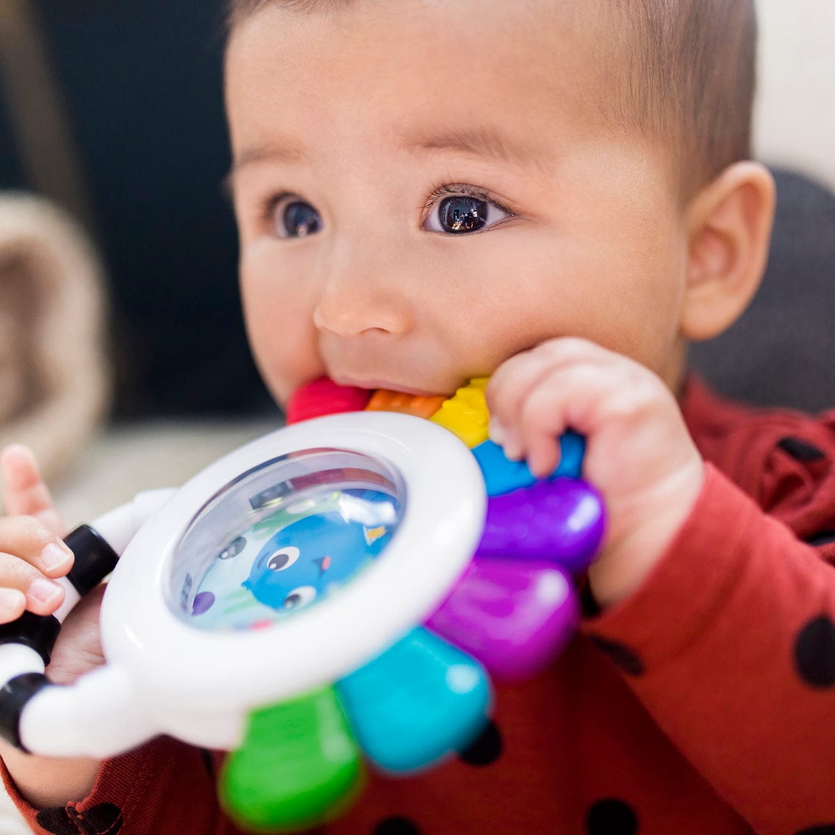 Kids2 Baby Einstein Outstanding Opus Sensory Rattle & Teether - 12487-000-000-06