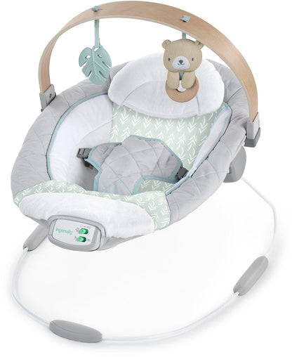 Kids2 Ingenuity Cozy Spot Soothing Bouncer - 13104-000-000-02