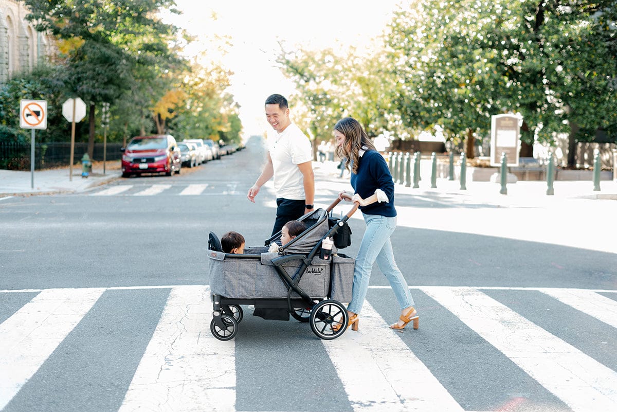 Larktale Sprout V2 Single-to-Double Stroller Wagon - Byron Black - LK52010