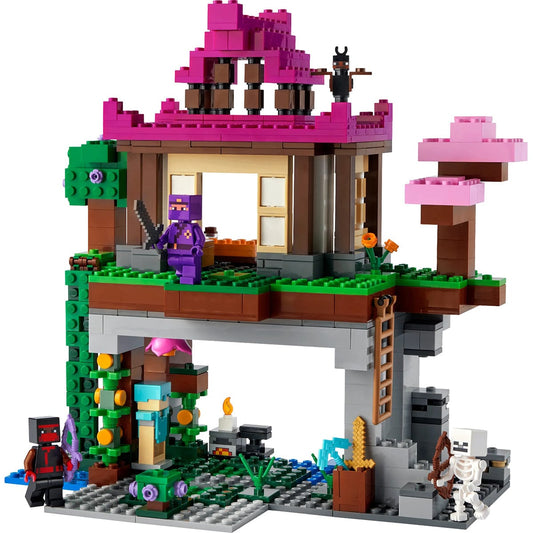 LEGO Minecraft: The Training Grounds - 21183