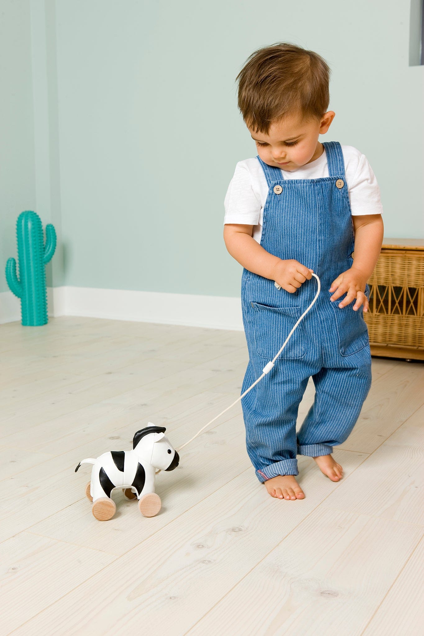 Little Big Friends Pull Along Friends - Robert the Zebra - 303532