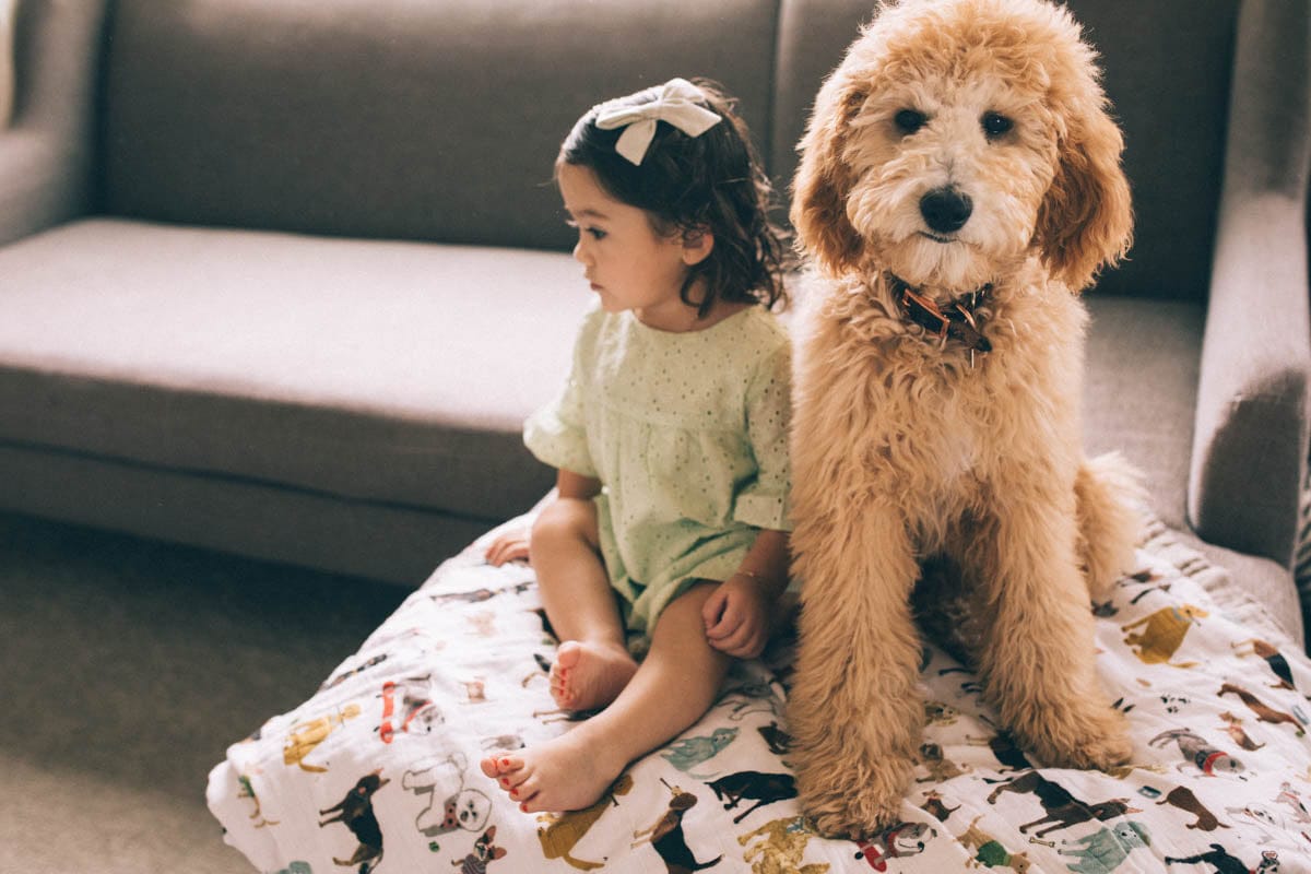 Little Unicorn Cotton Muslin Big Kid Quilt - Woof - UB1710