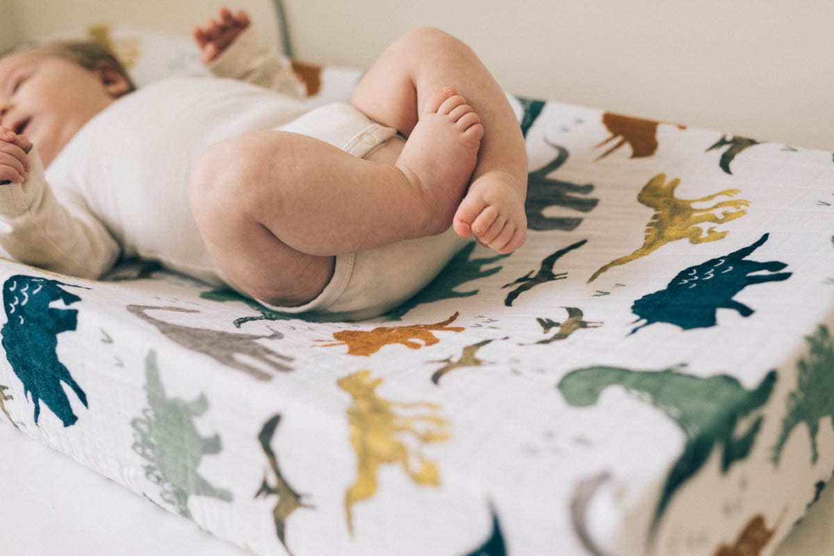 Little Unicorn Cotton Muslin Changing Pad Cover - Dino Friends - UN0512