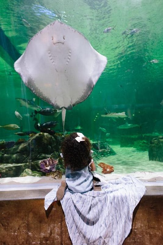 Little Unicorn Cotton Muslin Swaddle - Ripple