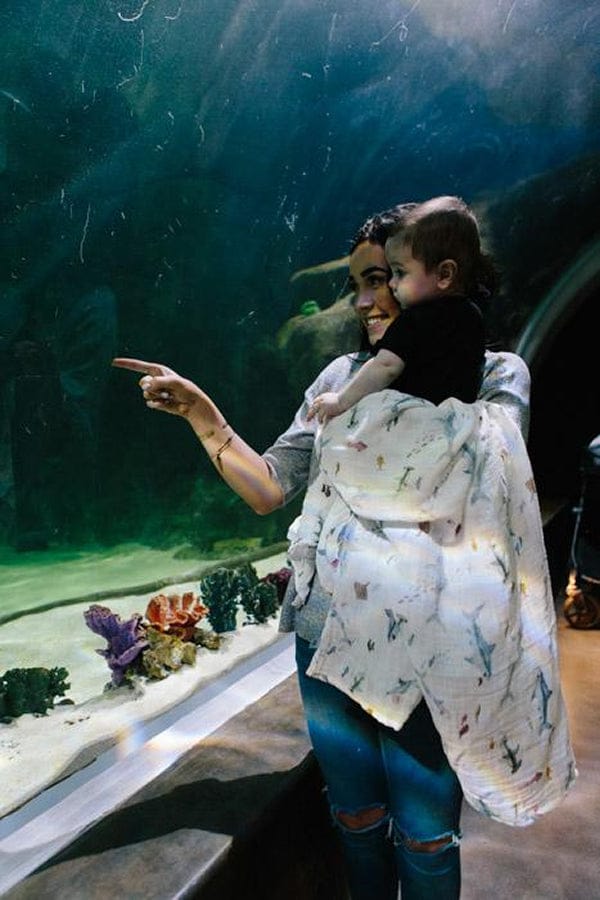 Little Unicorn Cotton Muslin Swaddle - Shark - UB0171