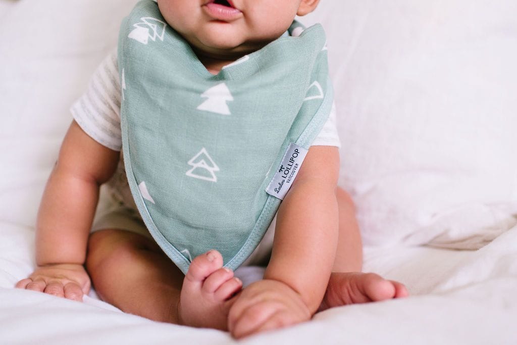 Loulou Lollipop Luxe Muslin Bandana Bib Set - Forest Friends - BIBFORFDS