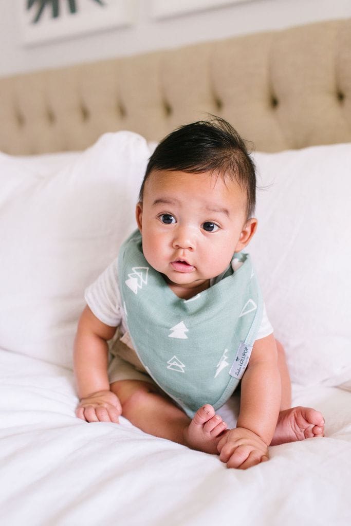 Loulou Lollipop Luxe Muslin Bandana Bib Set - Forest Friends - BIBFORFDS