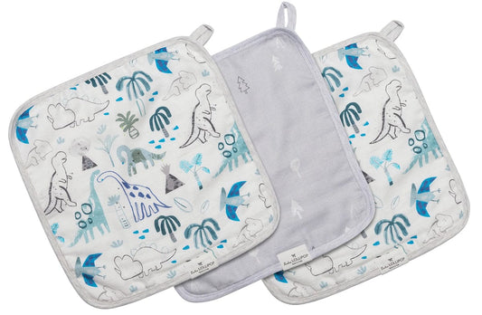 Loulou Lollipop Washcloth 3-Piece Set - Dinosaurs - WASHDNO