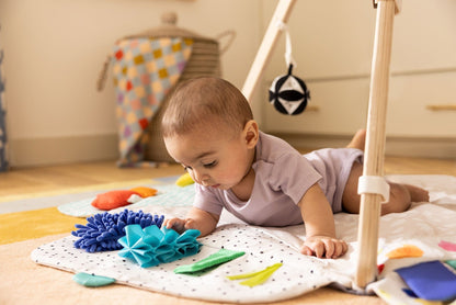 Lovevery The Play Gym - 9000001-01-00-01