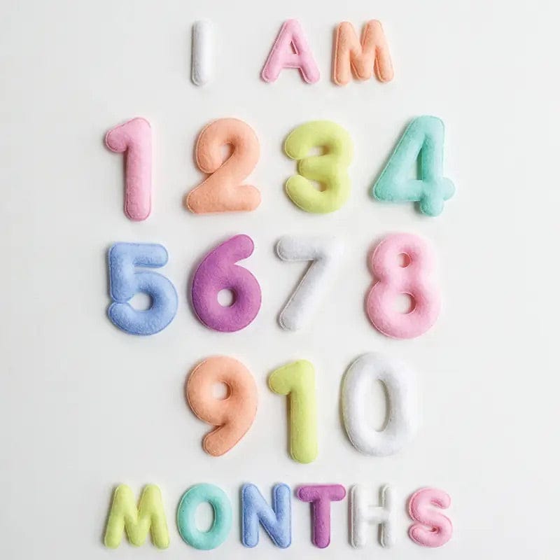 Lucy Darling Monthly Milestone Felt Letters - Pastel - FL001M12