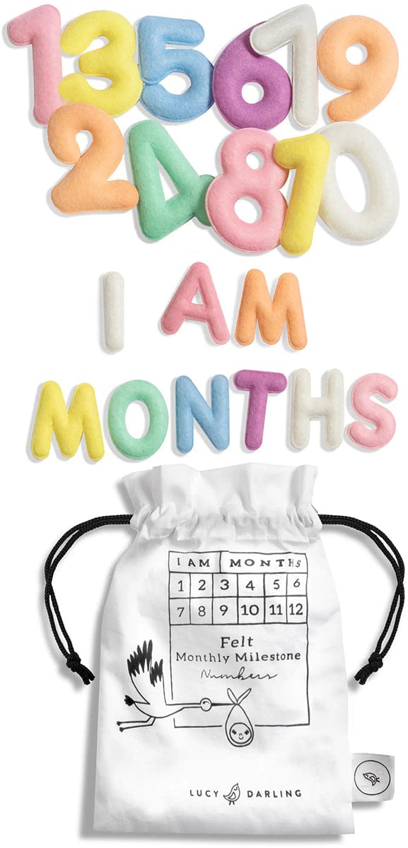 Lucy Darling Monthly Milestone Felt Letters - Pastel - FL001M12