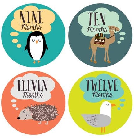 Lucy Darling Monthly Stickers - Little Animal Lover - LD184-W