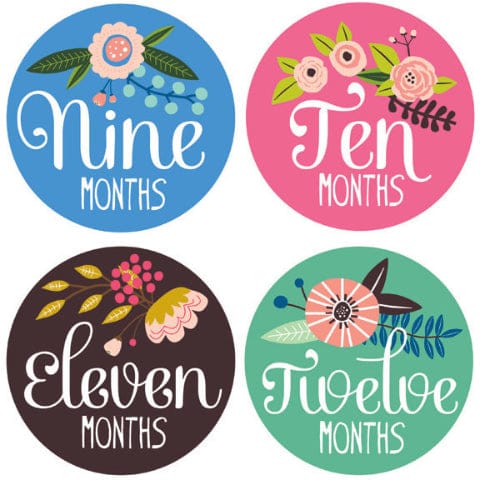Lucy Darling Monthly Stickers - Little Artist - LD118-W