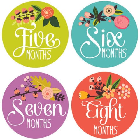 Lucy Darling Monthly Stickers - Little Artist - LD118-W