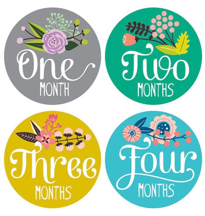 Lucy Darling Monthly Stickers - Little Artist - LD118-W