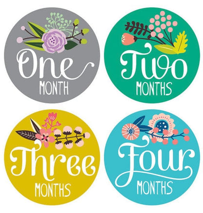Lucy Darling Monthly Stickers - Little Artist - LD118-W