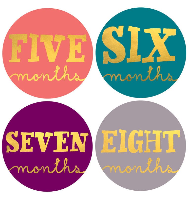 Lucy Darling Monthly Stickers - Little Jewel - ST003M12-W