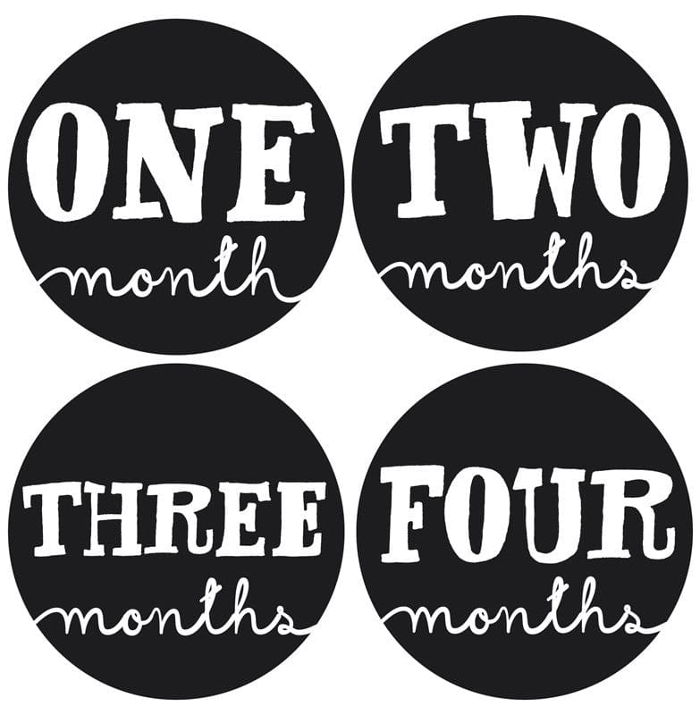 Lucy Darling Monthly Stickers - Little Sophisticate