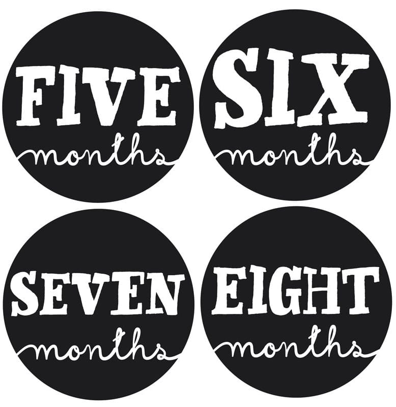 Lucy Darling Monthly Stickers - Little Sophisticate