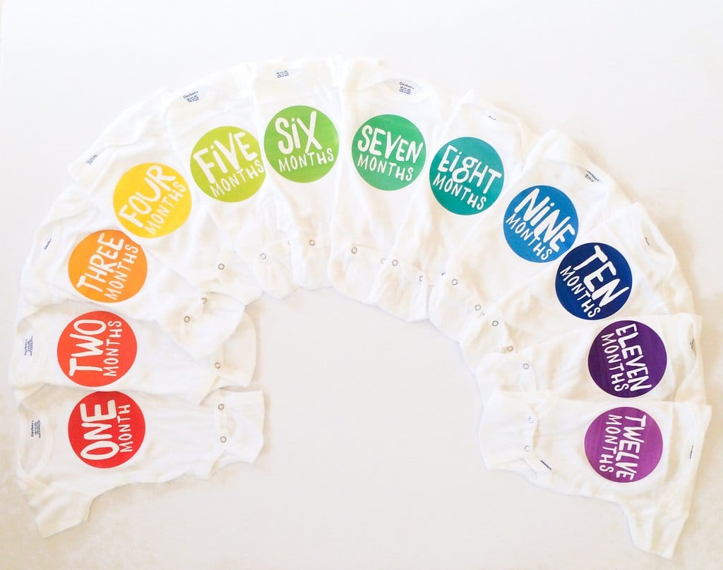 Lucy Darling Monthly Stickers - Rainbow Spectrum - LD241