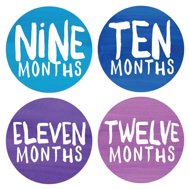 Lucy Darling Monthly Stickers - Rainbow Spectrum - LD241
