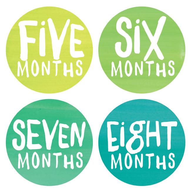 Lucy Darling Monthly Stickers - Rainbow Spectrum - LD241
