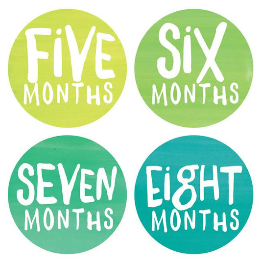 Lucy Darling Monthly Stickers - Rainbow Spectrum - LD241